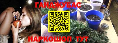 эйфоретик Будённовск
