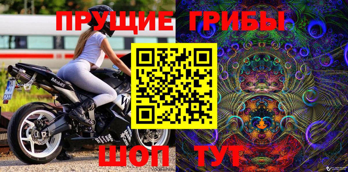 Полевской  сколько стоит  Вход с VPN  Псилоцибиновые грибы мицелий 